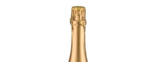 Le Marchesine | Franciacorta Brut Secolo Novo Giovanni Biatta | 2009 | Cl 75