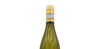 Masciarelli | Pecorino d’Abruzzo DOC | Castello di Semivicoli | 2019 | Cl 75