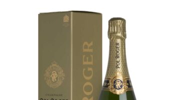 Pol Roger| Champagne Brut blanc de Blanc | Vintage 2009 | Astucciato | Cl 75