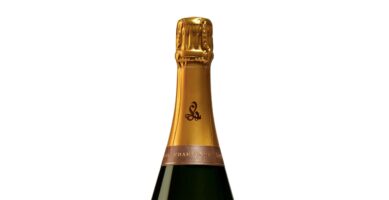 Champagne Legras & Haas “Brut Intuition”