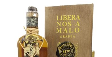 Distilleria Dalla Vecchia | Marzemino Passito 2016 | Con Astuccio | Cl 70