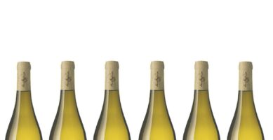 Jasci & Marchesani | Traminer Terre Di Chieti IGT Biologico | 2019 | 6 Bottiglie