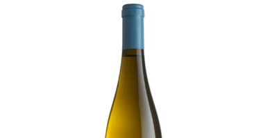 Cantina Rotaliana | Pinot Bianco Doc | 2019 | Cl 75