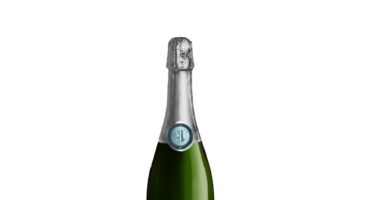 Cantina Rotaliana | Trento Doc R Extra Brut | Cl 75