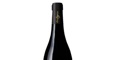 Jasci & Marchesani | Rudhir | Montepulciano D’Abruzzo DOC | 2017 | Cl 75