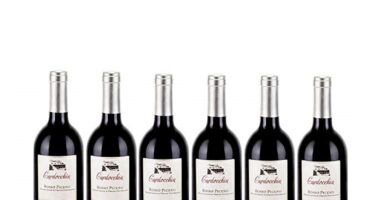 Vino Rosso Amplico Rosso Piceno | 2015 | Cardocchia – 6 Bottiglie